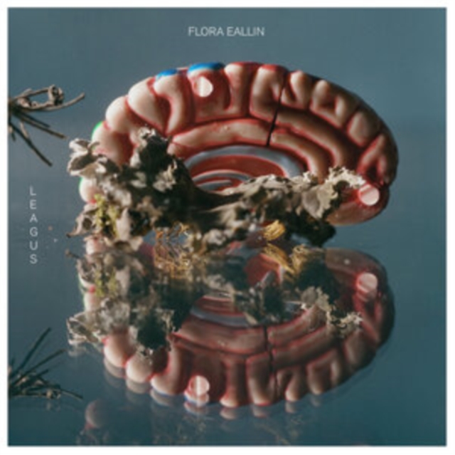 Flora eallin, CD / Album Cd