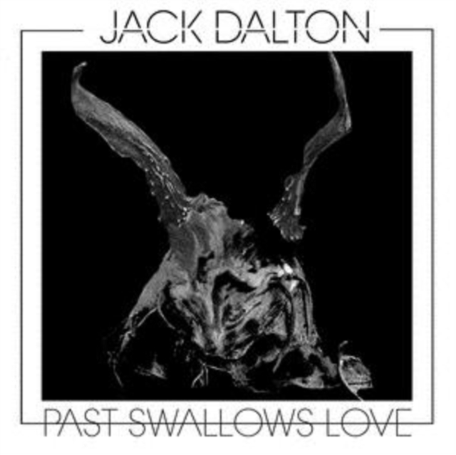 Past Swallows Love (Limited Edition), Vinyl / 12" Album Vinyl