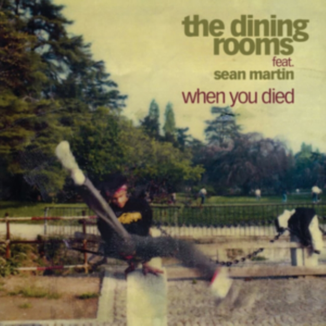 When You Died (Feat. Sean Martin), Vinyl / 7" Single Vinyl