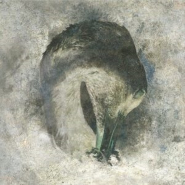 Ashes, CD / Album Cd