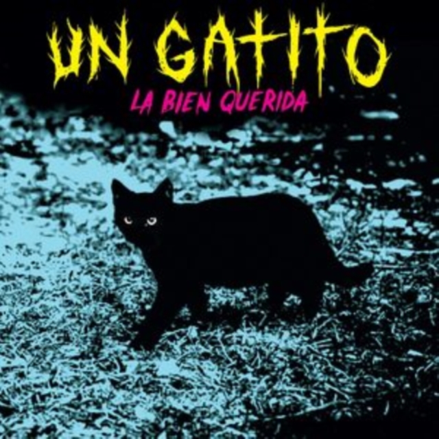 Un Gatito, Vinyl / 7" Single Vinyl