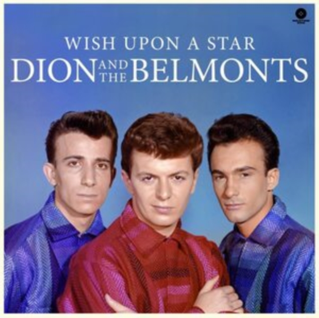 Wish upon a star, Vinyl / 12" Album Vinyl