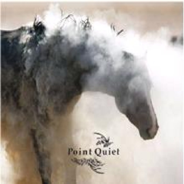 Point quiet, CD / Album Cd