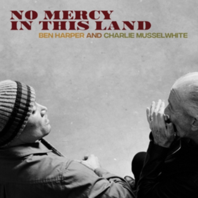 No Mercy in This Land, Vinyl / 12" Album Vinyl