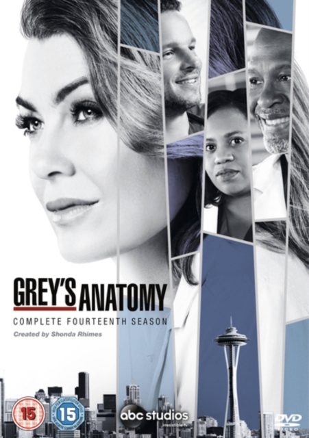 Grey's Anatomy: Complete Fourteenth Season, DVD DVD