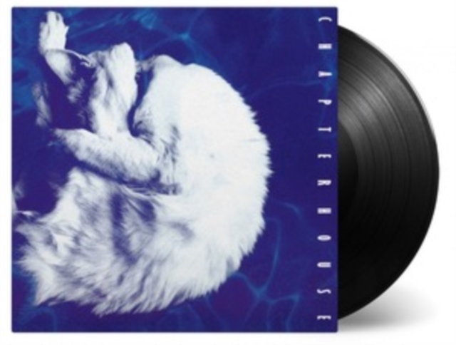 Whirlpool, Vinyl / 12" Album Vinyl