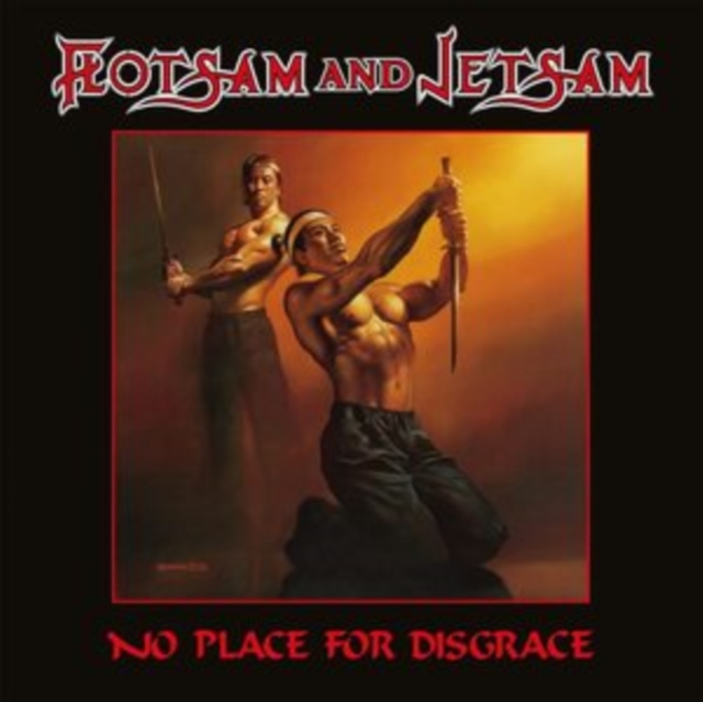 No place for disgrace, Vinyl / 12" Album Vinyl