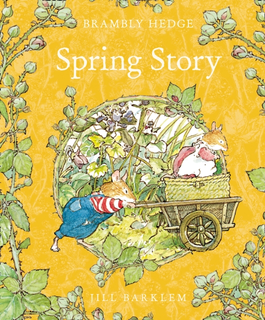 Spring Story, Hardback Book