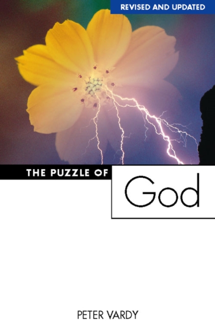 The Puzzle of God, Paperback / softback Book