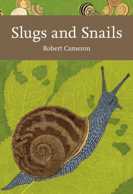 Slugs and Snails, Paperback / softback Book