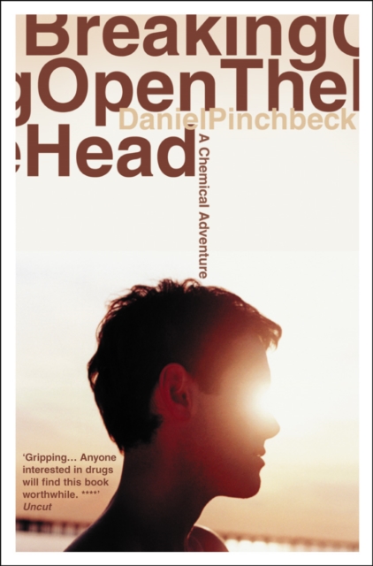 Breaking Open the Head, Paperback / softback Book