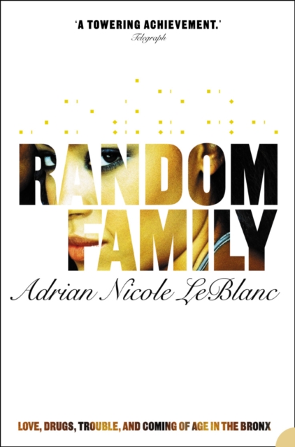 Random Family : Love, Drugs, Trouble and Coming of Age in the Bronx, Paperback / softback Book