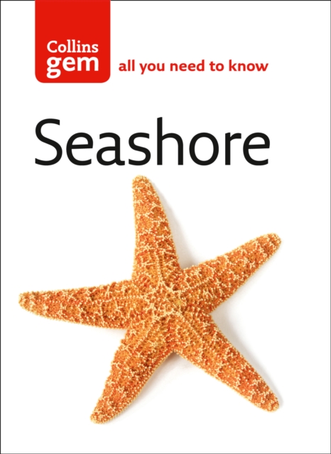 Seashore, Paperback / softback Book