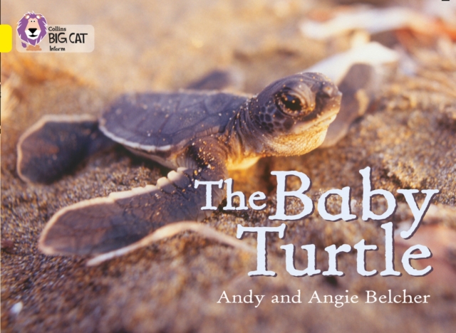 The Baby Turtle : Band 03/Yellow, Paperback / softback Book