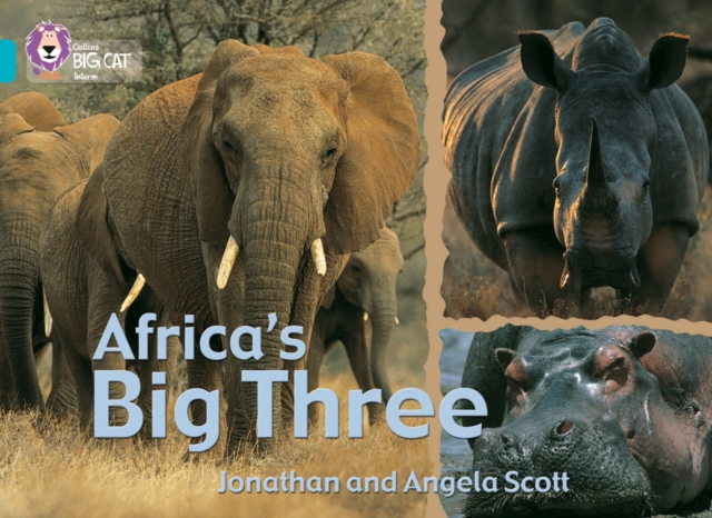 Africa’s Big Three : Band 07/Turquoise, Paperback / softback Book