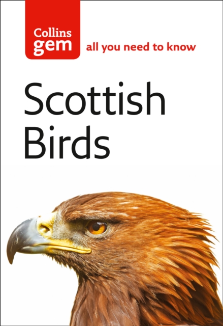 Scottish Birds, Paperback / softback Book