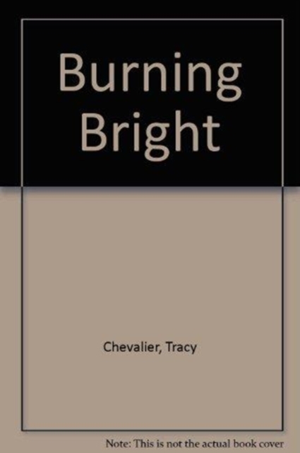 Burning Bright, Audio cassette Book