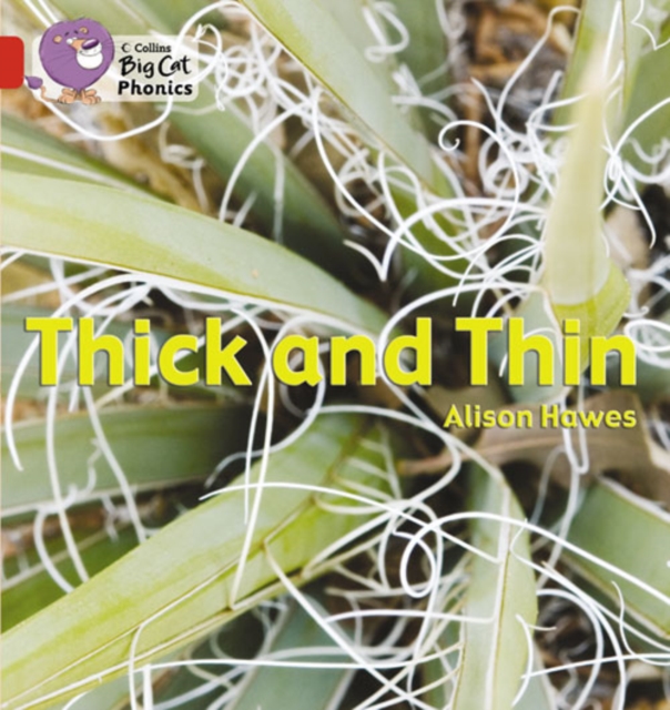 Thick and Thin : Band 02b/Red B, Paperback / softback Book