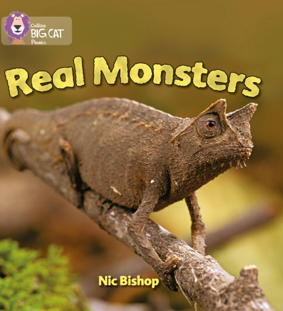 Real Monsters : Band 03/Yellow, Paperback / softback Book