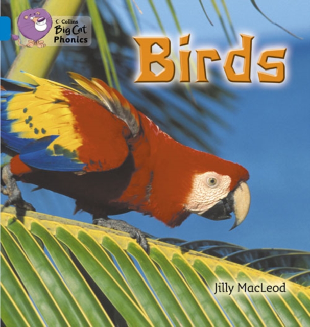 Birds : Band 04/Blue, Paperback / softback Book