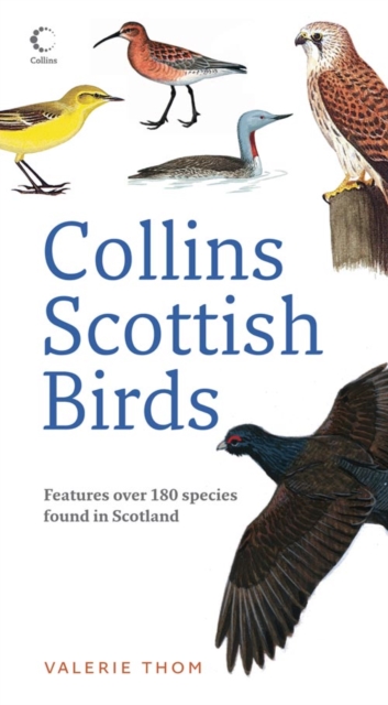 Collins Scottish Birds, Paperback / softback Book