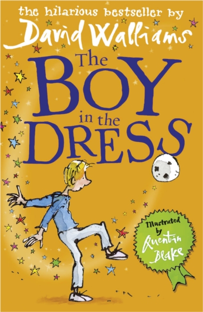 The Boy in the Dress, Paperback / softback Book