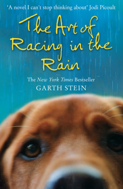 The Art of Racing in the Rain, Paperback / softback Book