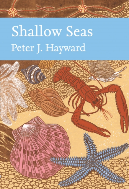 Shallow Seas, Hardback Book