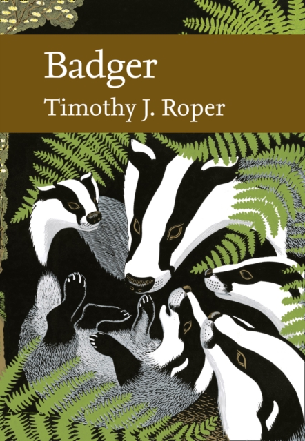 Badger, Hardback Book