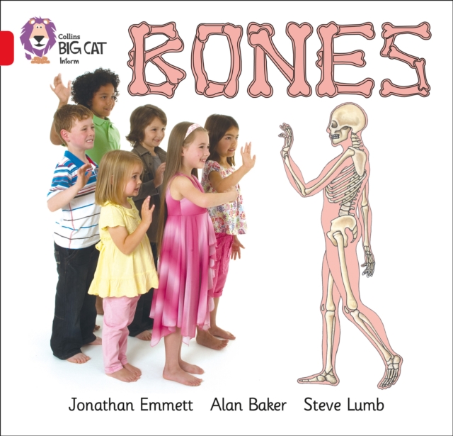 Bones : Band 02b/Red B, Paperback / softback Book