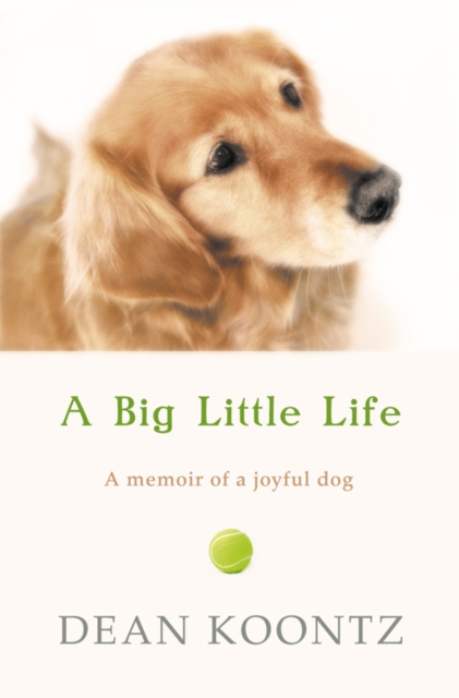 A Big Little Life, Paperback / softback Book