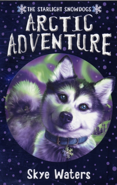 Arctic Adventure, Paperback / softback Book