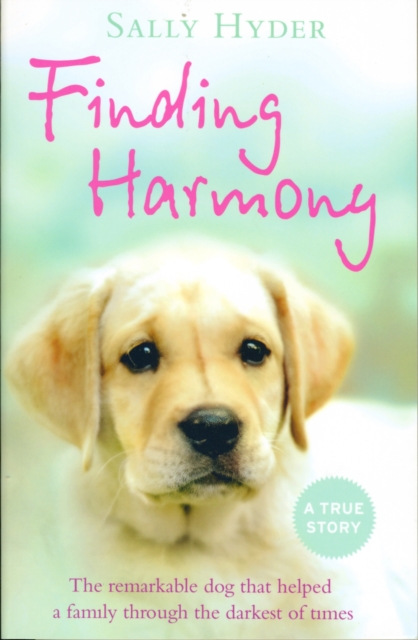 Finding Harmony : The Remarkable Dog That Helped a Family Through the Darkest of Times, Paperback / softback Book