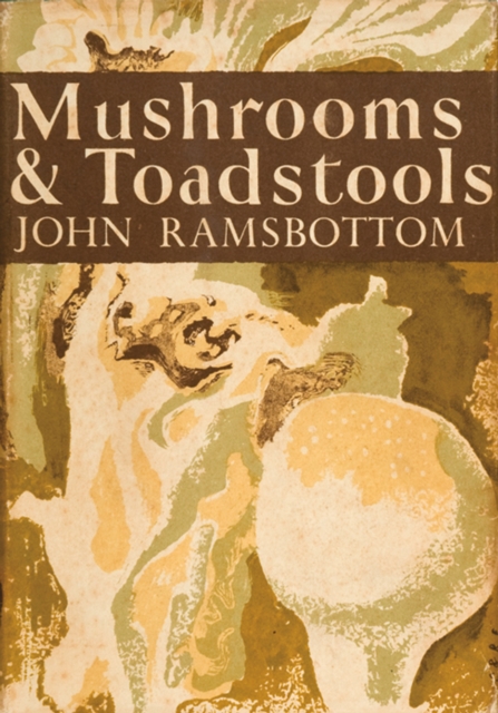 Mushrooms and Toadstools, EPUB eBook