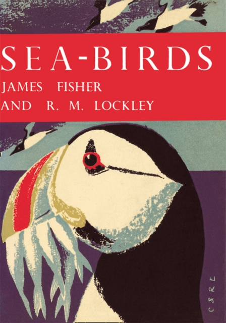 Sea-Birds, EPUB eBook