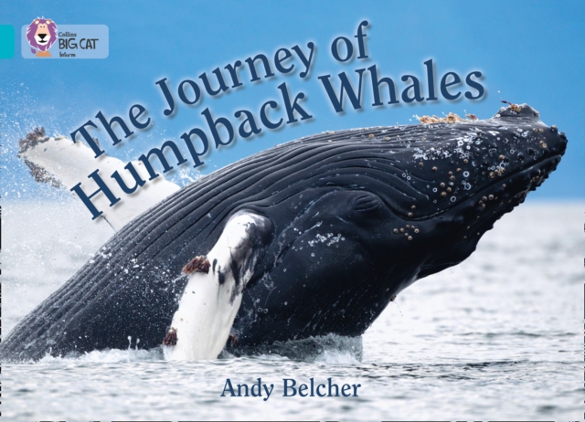 The Journey of Humpback Whales : Band 07/Turquoise, Paperback / softback Book