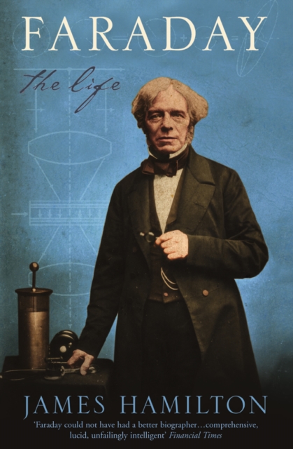 Faraday : The Life (Text Only), EPUB eBook
