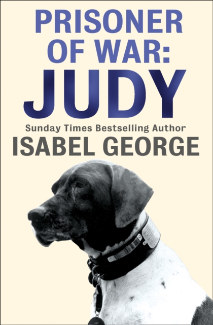 Prisoner of War: Judy, EPUB eBook