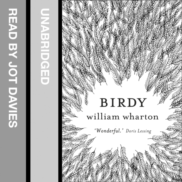 Birdy, eAudiobook MP3 eaudioBook