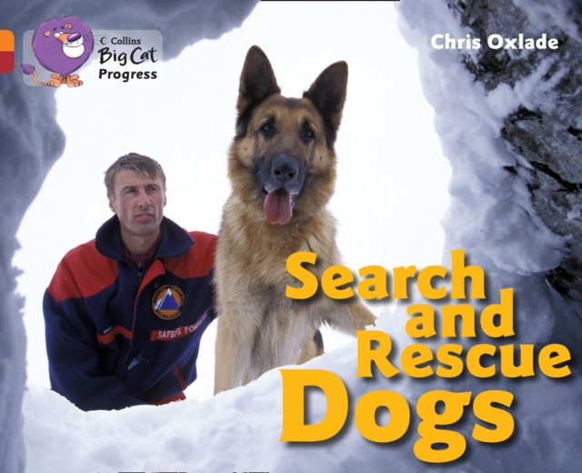 Search and Rescue Dogs : Band 06 Orange/Band 14 Ruby, Paperback / softback Book
