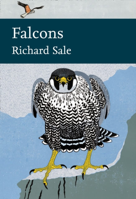 Falcons, Hardback Book