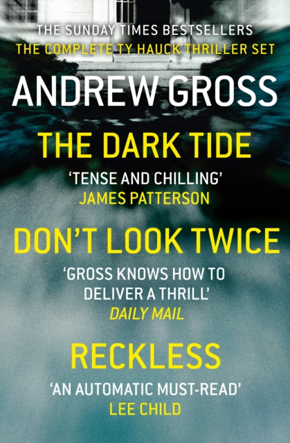 Andrew Gross 3-Book Thriller Collection 1 : The Dark Tide, Don’t Look Twice, Relentless, EPUB eBook