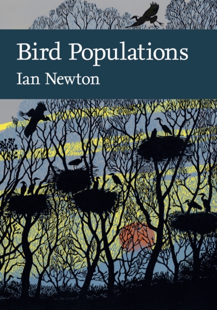 Bird Populations, Paperback / softback Book