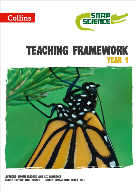Teaching Framework Year 4, Paperback / softback Book