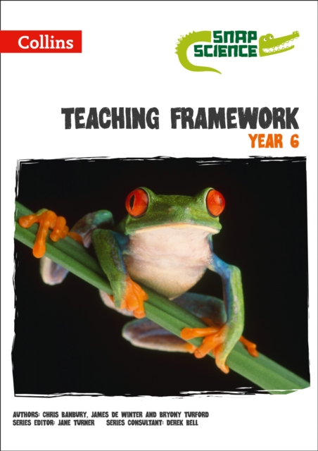 Teaching Framework Year 6, Paperback / softback Book