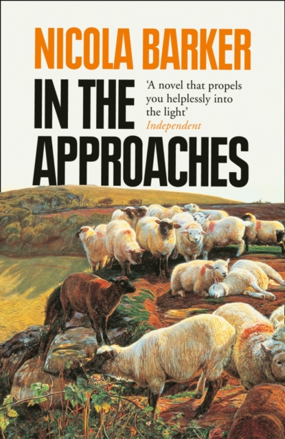 In the Approaches, Paperback / softback Book