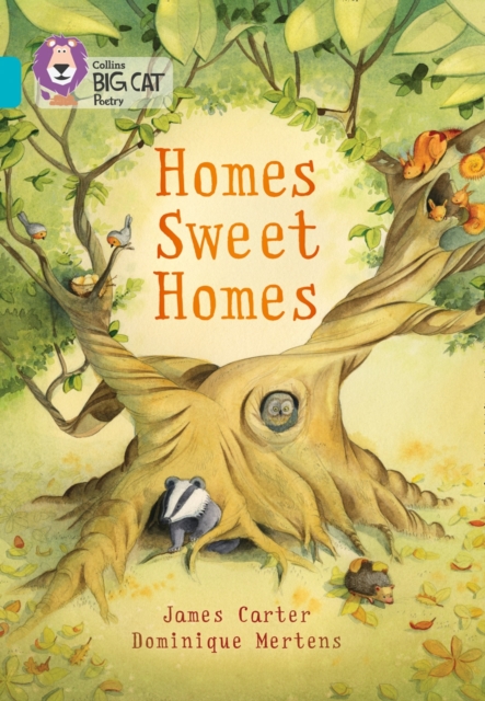 Homes Sweet Homes : Band 07/Turquoise, Paperback / softback Book