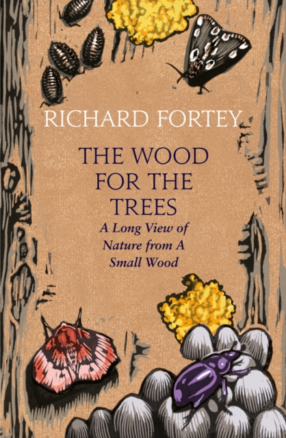 The Wood for the Trees : The Long View of Nature from a Small Wood, Hardback Book