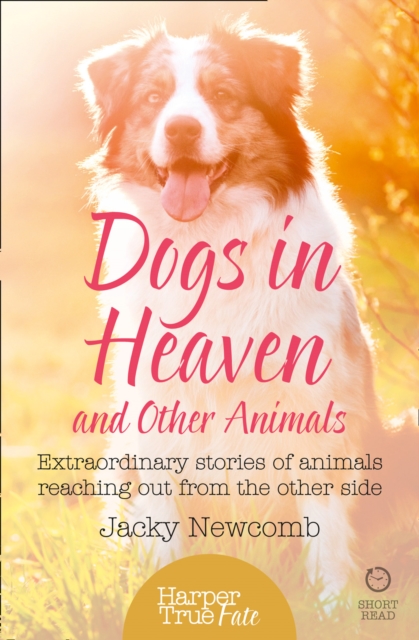 Dogs in Heaven: and Other Animals : Extraordinary Stories of Animals Reaching out from the Other Side, Paperback / softback Book