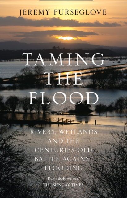 Taming the Flood : Rivers, Wetlands and the Centuries-Old Battle Against Flooding, Paperback / softback Book